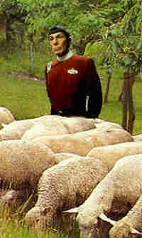 live long and prosper