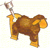 kleb