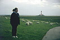 Westerheve