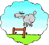 hoppelschaf